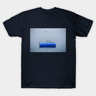 Seagulls in Sumartin, Croatia T-Shirt